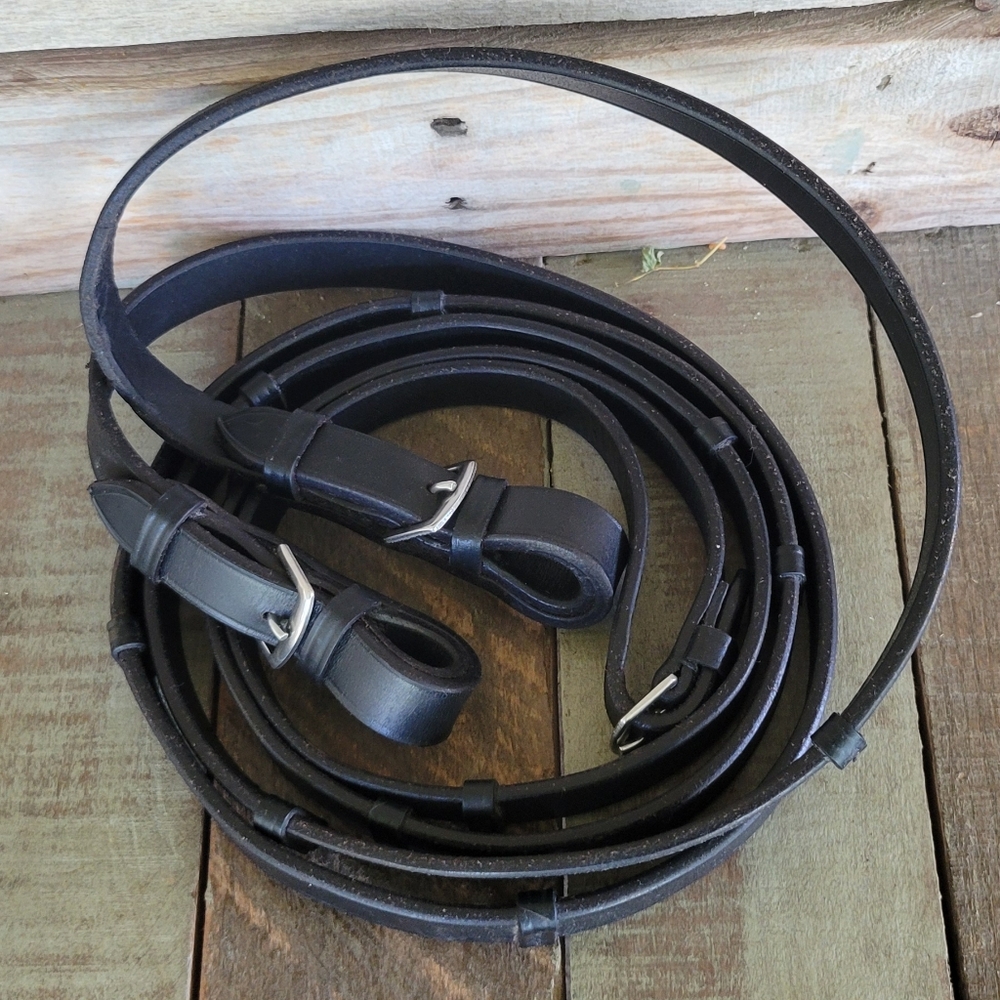 Reins